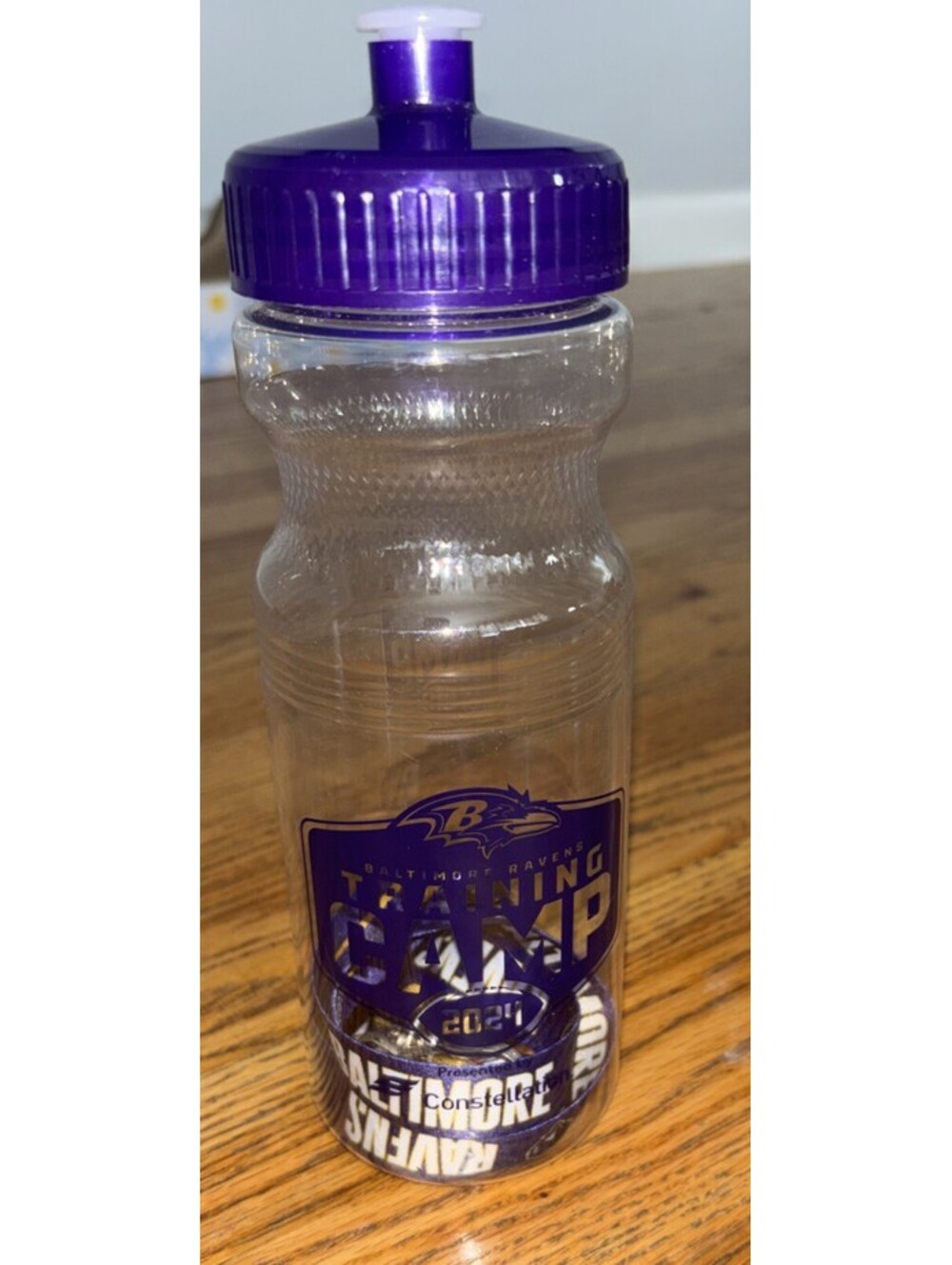 Baltimore Ravens NFL Training Camp 2024Water Bottle And Lanyard